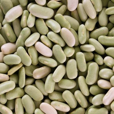 Flageolet Beans