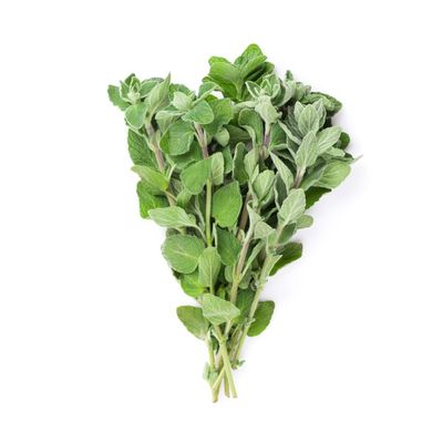 Organic Oregano