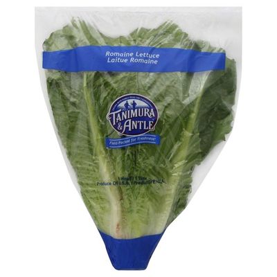 Romaine Lettuce