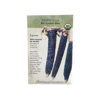 Botanical Interests Organic Rio Grande Blue Flour Corn Seeds