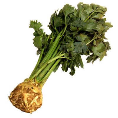 Celery Root (Knob)