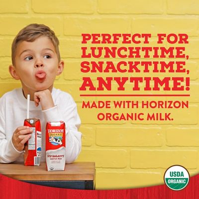 Horizon Organic 1% Lowfat UHT Chocolate Milk