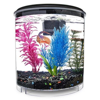 Imagitarium 2 Gallon Cumberland Freshwater Aquarium