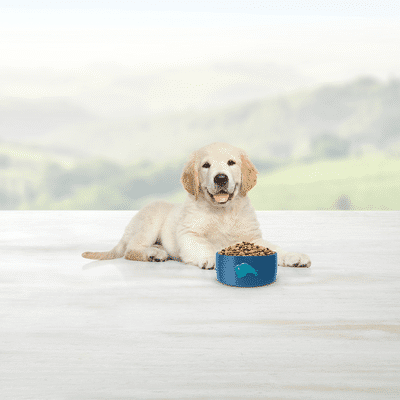 Blue Buffalo Life Protection Formula Natural Puppy Dry Dog Food, Chicken and Brown Rice