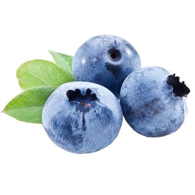 Organic Blueberries Package