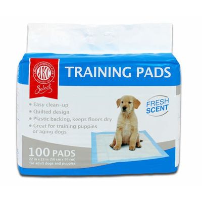 puppy pads at sam's club