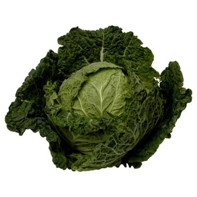 Green Savoy Cabbage