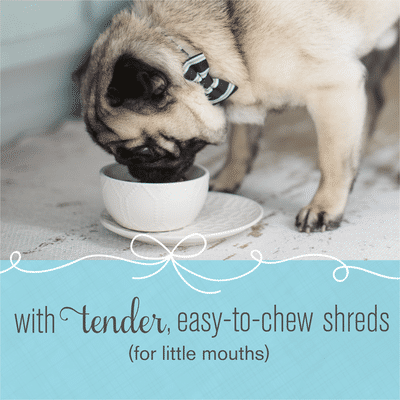 Purina Bella Natural Small Breed Dry Dog Food, Natural Bites With Real Chicken & Beef