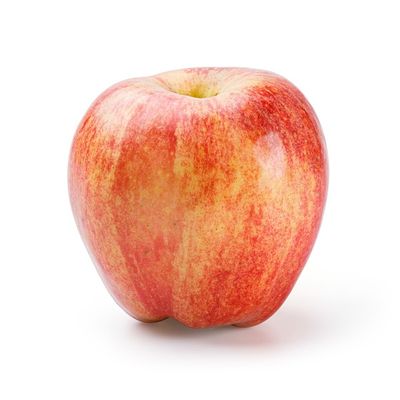Organic Gravenstein Apple