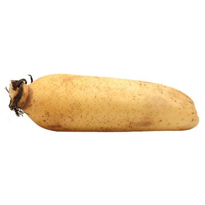 Lotus Root