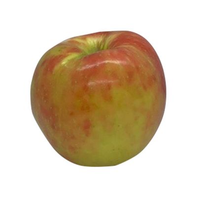 Honeycrisp Apple