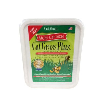 Cat About Cat Grass Plus, Multi-Cat Size!