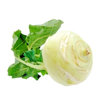 Organic White Turnip