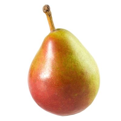 Organic Seckle Pear
