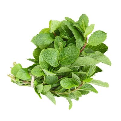 Goodness Gardens Mint