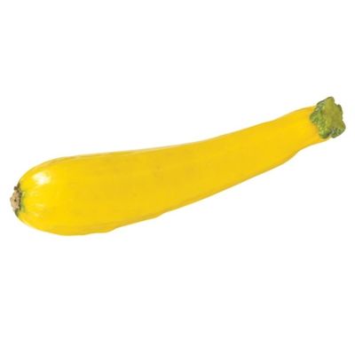 Yellow Zucchini Squash