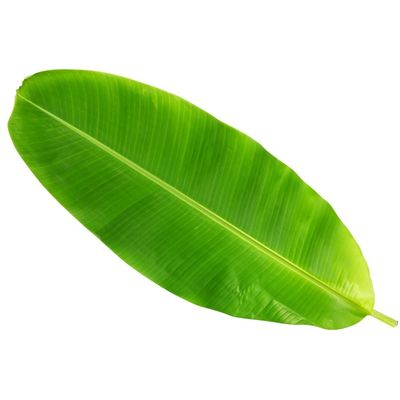 Banana Leaves Each Instacart