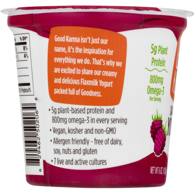 Good Karma Yogurt, Dairy Free, Raspberry