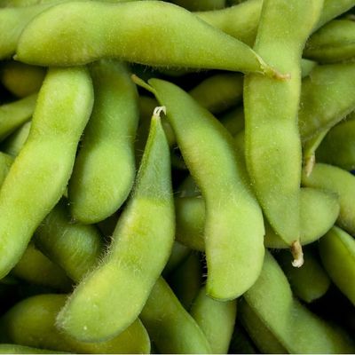 Organic Edamame Beans