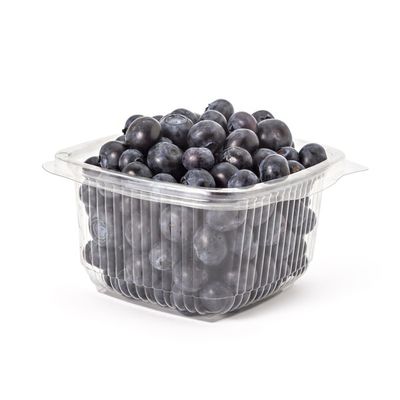 Fresh Blueberries