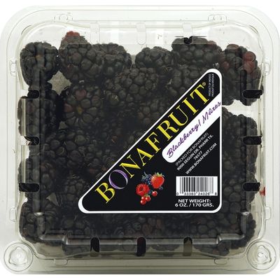 Belmont Northgate Gonzalez Blackberries