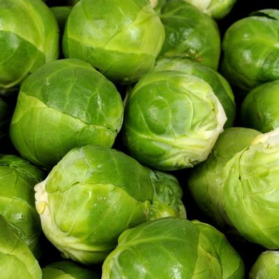 Brussel Sprout