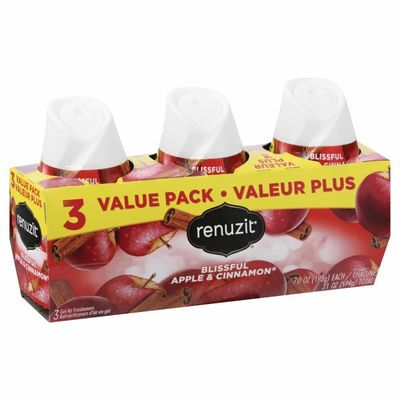 Renuzit Blissful Apple & Cinnamon Gel Air Freshener