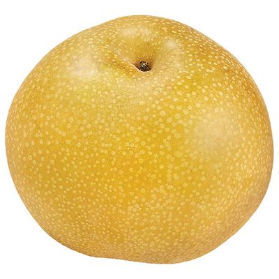 Asian Pear