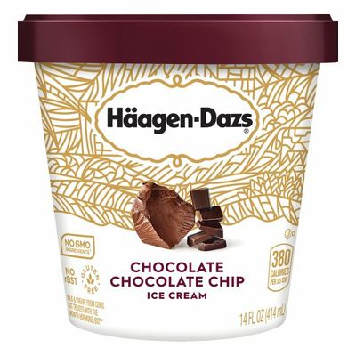 Haagen-Dazs Chocolate Chocolate Chip Ice Cream