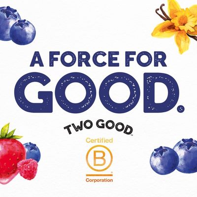 Two Good Low Fat Lower Sugar Plain Greek Yogurt