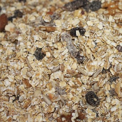 Original Swiss Bircher Muesli