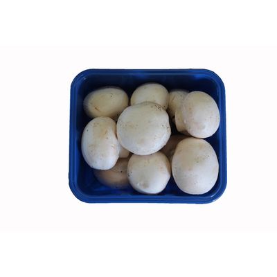 Food Lion Mushrooms, Whole Fresh