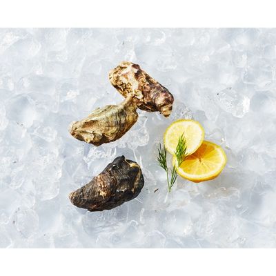 Fresh Sefood Kumamoto Oysters in Shell