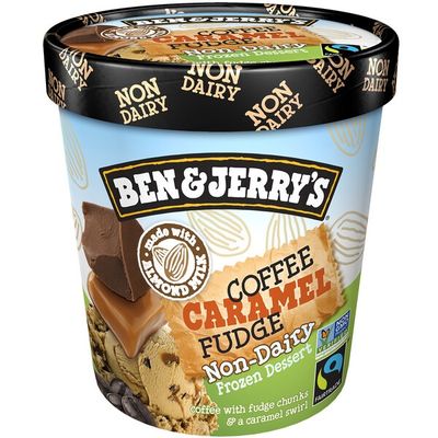 Ben & Jerry's Non-dairy Frozen Dessert Coffee Caramel Fudge