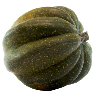 Organic Acorn Squash