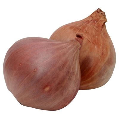 Shallot