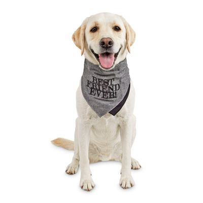 Redy BFF Extra Small to Small Bandana