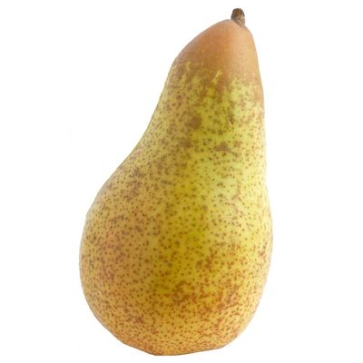 Organic Concorde Pear
