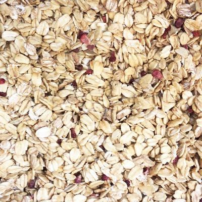 Grizzlies Brand Organic Low Fat Berry Granola