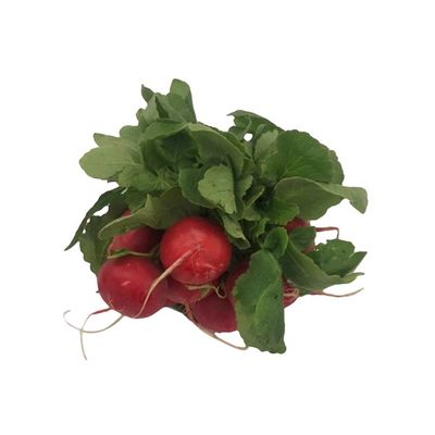 Radish