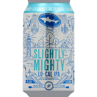 Dogfish Head Slightly Mighty Lo Cal Ipa Beer 12 Fl Oz Instacart