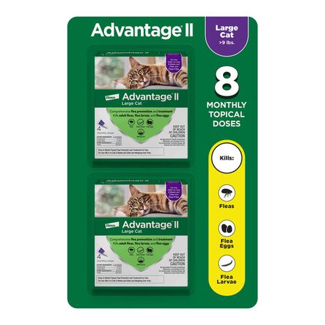 Elanco Advantage Large Cat Flea Prevention & Treatment