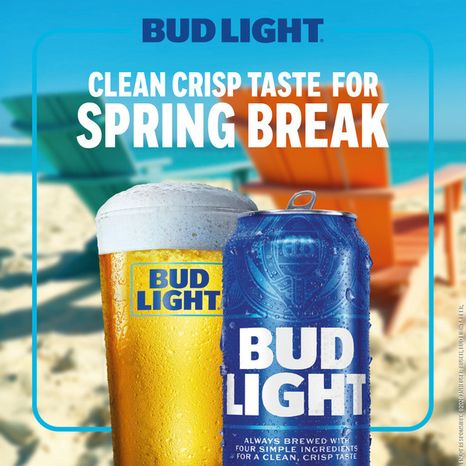 Bud Light American Lager Beer 18 Pack, 12 Fl Oz Cans