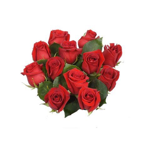 Bloom Haus Red Roses