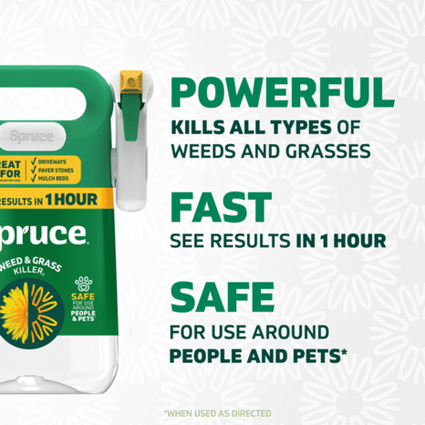 Spruce Weed & Grass Killer Manual Spray