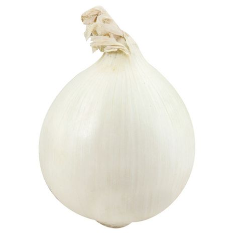 White Onion