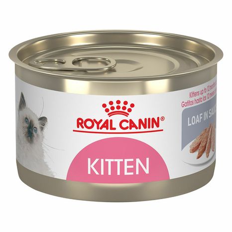 Royal Canin® Loaf In Sauce Cat Food