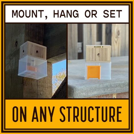 BeesNThings Outdoor Carpenter Bee Trap