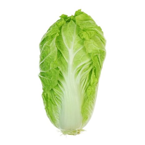 Organic Romaine Lettuce