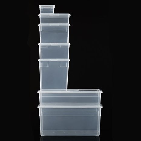 The Container Store Our Shoe Box - 13" x 7-1/2" x 4-1/4" h